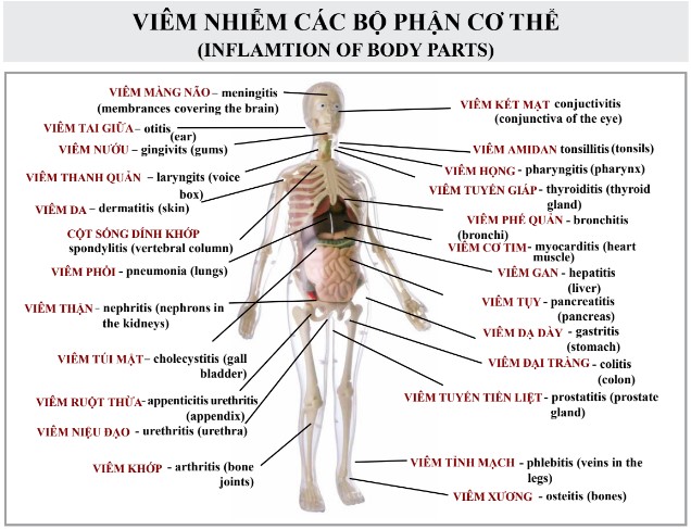 Chia tay bệnh tiểu đường